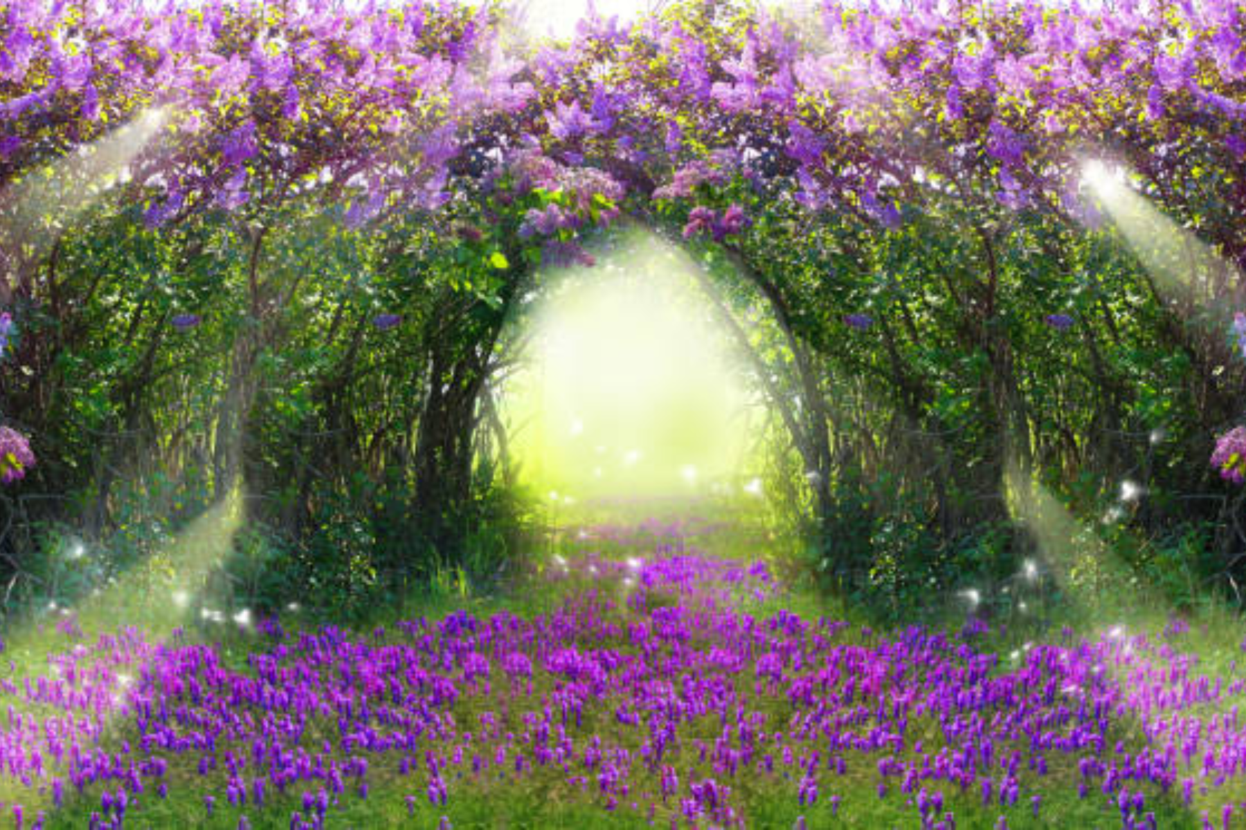 The Secret Garden